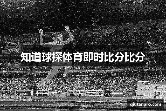 针织牛仔布厂家